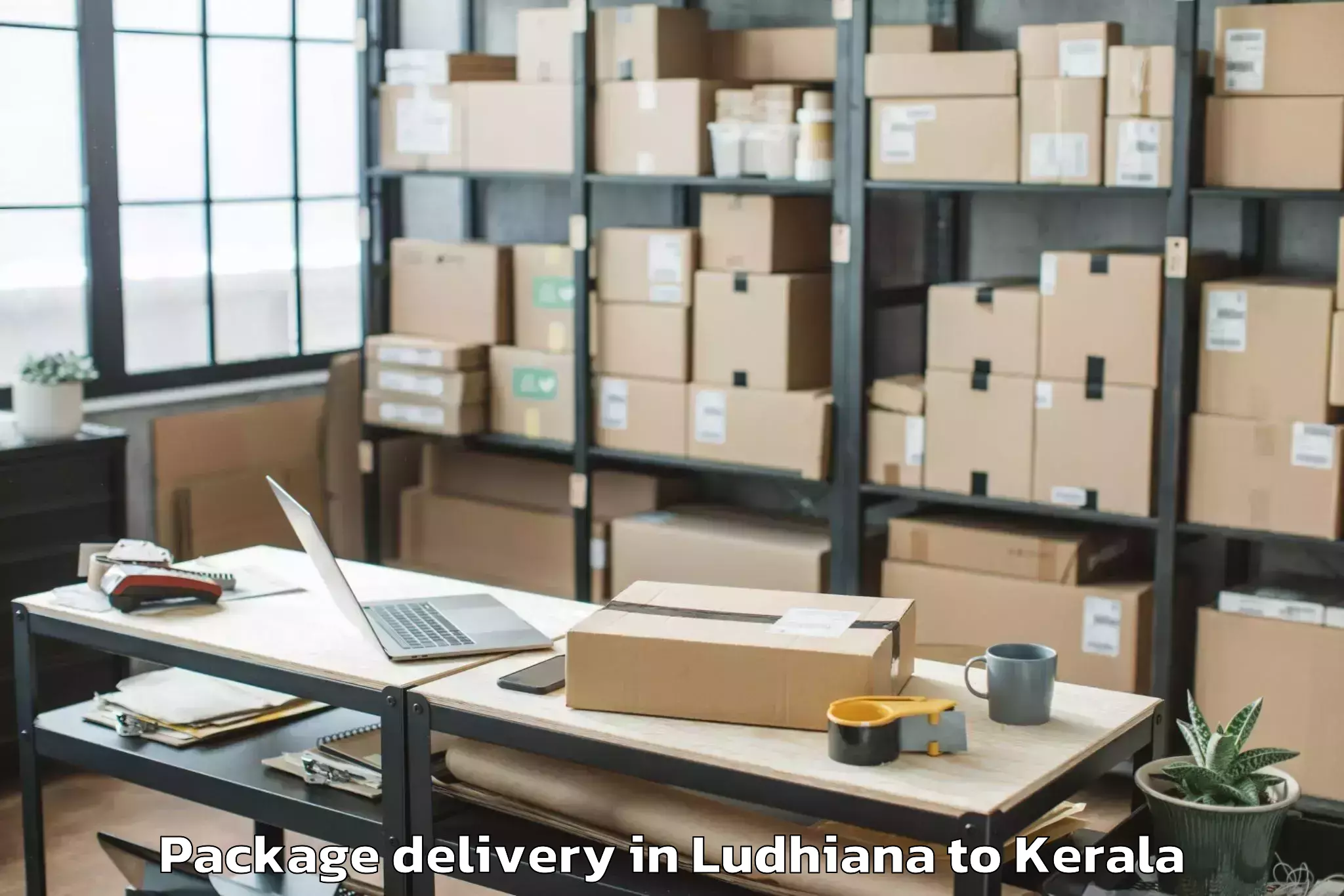 Book Ludhiana to Mall Of Joy Thrissur Package Delivery Online